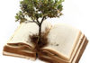 Knowledge