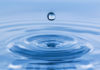 Extracts from Purification of the Soul