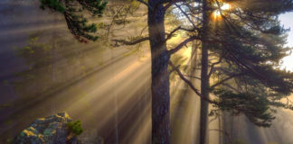 Hadeeth 42 : The Expanse of the Forgiveness of Allah The Most High