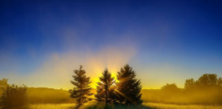 Hadeeth 41: The Sign of Faith