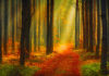 Hadeeth 40 : The World is the Means and the Sowing-Field for Attaining the Hereafter