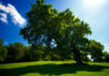 The Seven Under the Shade of Allah (SWT)