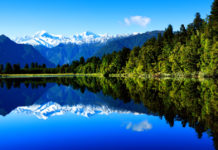 Reflect
