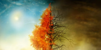 The Creator of Death and Life