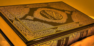 ‘Ilm – Gotta Have it