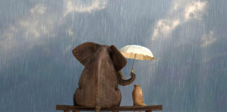 Kindness and Generosity