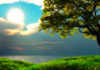 A Refutation of those that say ‘Mother Nature’ shapes natural design