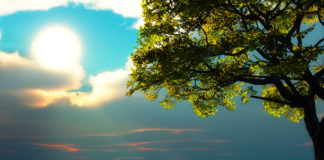 A Refutation of those that say ‘Mother Nature’ shapes natural design