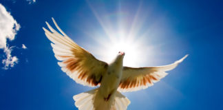 Forgiveness – An Important Virtue