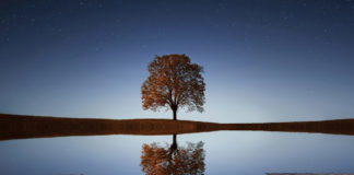 Reflections on Surah Qaf