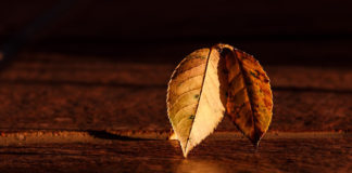 I Want To Repent, But… Part 4