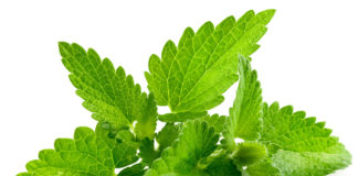 Beating Bad Breath during Ramadan