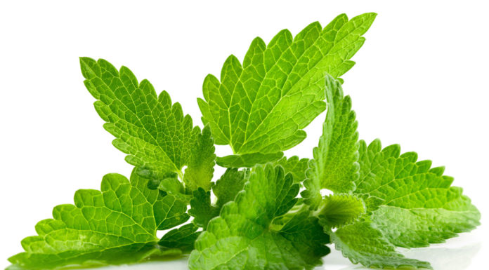 Beating Bad Breath during Ramadan