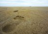 Tracing The Prophet’s Footsteps