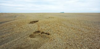 Tracing The Prophet’s Footsteps