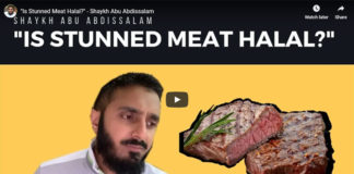 Is Stunned Meat Halal?