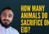 How Many Animals Do I Sacrifice On Eid?