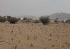 The Story of the Prisoners of the Battle of Badr