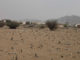 The Story of the Prisoners of the Battle of Badr
