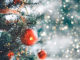 The REAL Christmas Story: How a Prophet was turned into a god