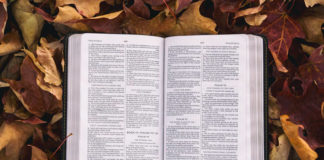 Women in the Qur’an and Women in the Bible