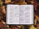 Women in the Qur’an and Women in the Bible