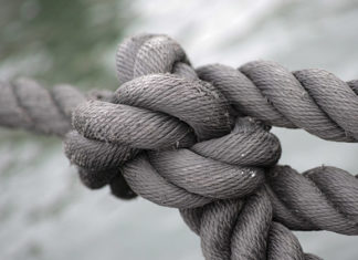 The Bond of Holy Love