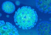Coronavirus: Human Vulnerability and Lessons