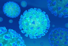 Coronavirus: Human Vulnerability and Lessons