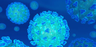 Coronavirus: Human Vulnerability and Lessons